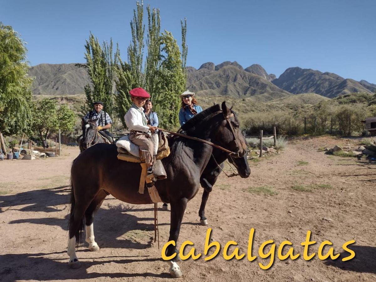 Cabana Pica Piedra 멘도사 외부 사진